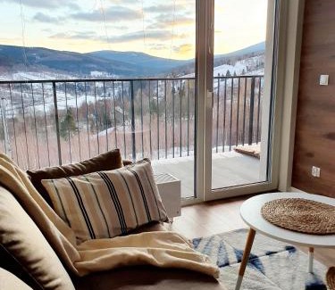 Swieradow-Zdroj Apartamento | Apartament Szyszka Izerski Resort - strefa z sauną