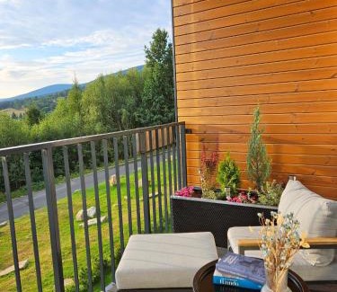 Swieradow-Zdroj Apartamento | Apartament Szyszka Izerski Resort - strefa z sauną