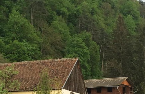 Rasnov Apartamento | Apartament Teilor