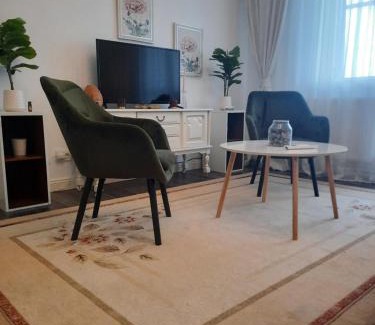 Fagaras Apartamento | Apartament Thea