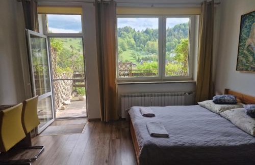 Jaworki Apartamento | Apartament Tylas 2