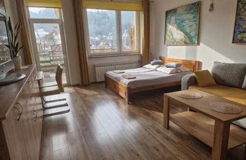 Jaworki Apartamento | Apartament Tylas 2