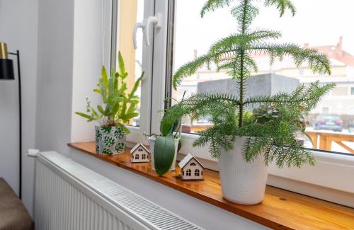 Polanica-Zdroj Apartamento | Apartament u Andrzeja