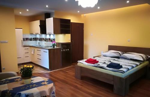 Piwniczna-Zdroj Apartamento | Apartament u Joli