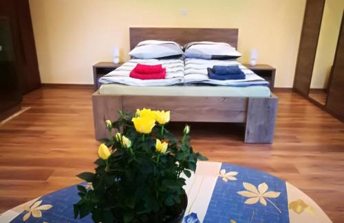 Piwniczna-Zdroj Apartamento | Apartament u Joli