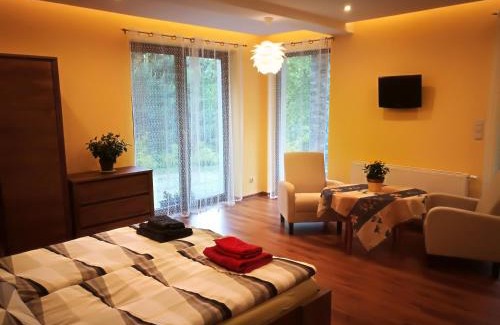 Piwniczna-Zdroj Apartamento | Apartament u Joli