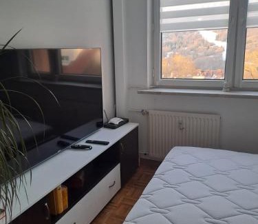 Szczawnica Apartamento | Apartament w bloku Olmar