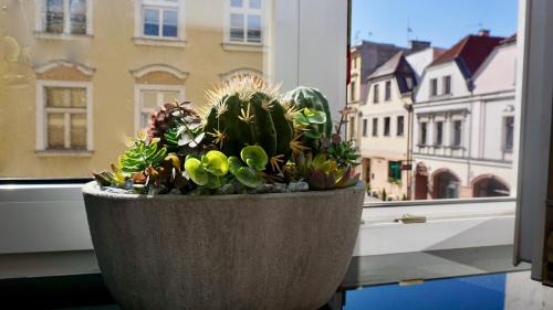 Opole Apartamento | Apartament w samym sercu Opola 2