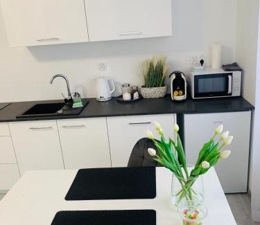 Gorzow Wielkopolski Apartamento | Apartament Walczaka 22 MIEJSCE PARKINGOWE