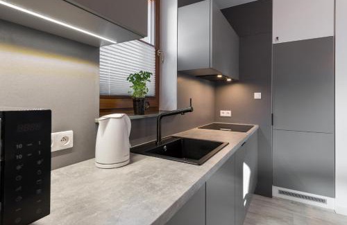 Jaworki Apartamento | Apartament Widok