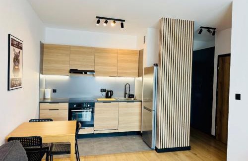 Ilawa Apartamento | Apartament Wiktoria Iława