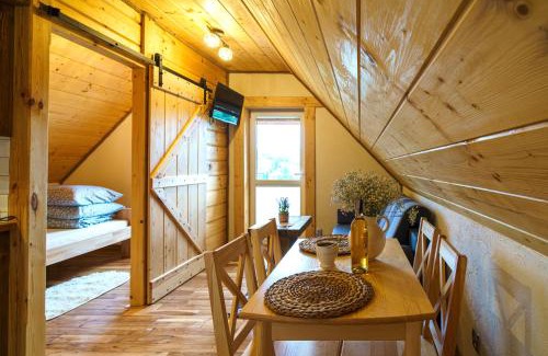 Solina Apartamento | Apartament z widokiem na Jezioro Solińskie - Zawóz