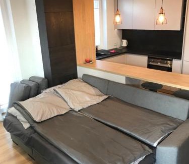 Kielce Apartamento | APARTAMENT ZAGNAŃSKA - Garaż