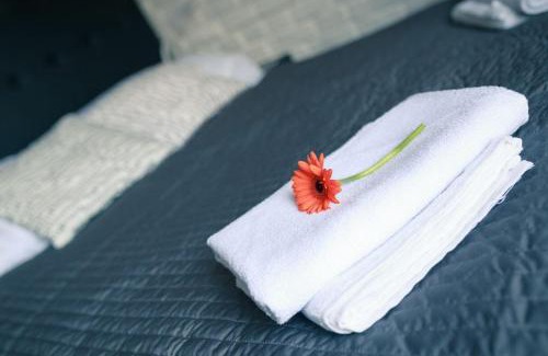 Chynow Apartamento | Apartament Zeus