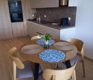 Jelenia Gora Apartamento | Apartament Zielone Wzgórze 3