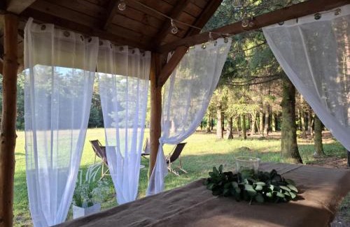 Niemce Apartamento | Apartament Zielony - Dom Nasutów
