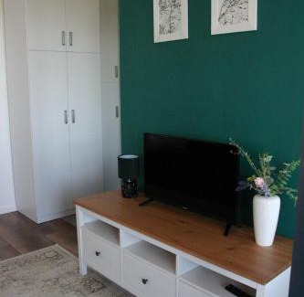 Konin Apartamento | Apartament zielony