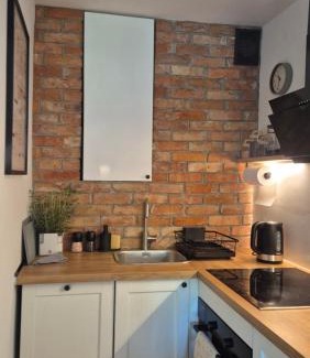 Kamienny Potok Apartamento | Apartament420