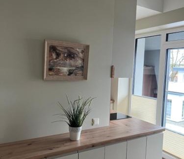 Birstonas Apartamento | Apartamentai Muziejaus g.