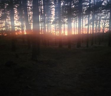 Palanga Apartamento | Apartamentai VILMA