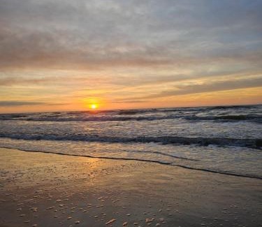 Palanga Apartamento | Apartamentai VILMA
