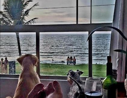 Barra Velha Apartamento | Apartamento aconchegante frente para o mar
