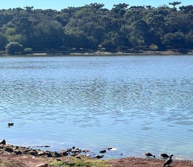 Regiao do lago Apartamento | Apartamento Alto Padrão Região do Lago