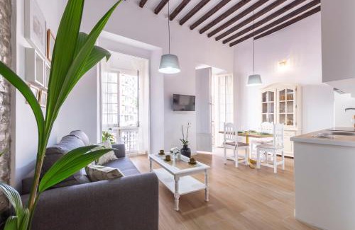 Centro Apartamento | Apartamento Buganvilla