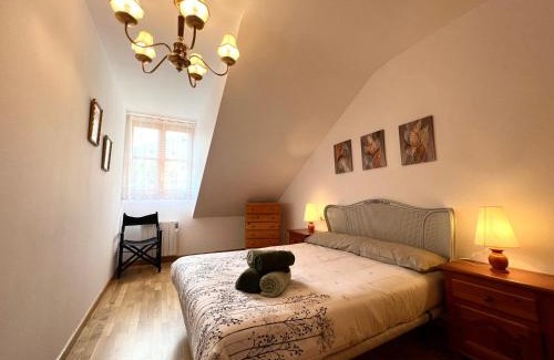 Rialp Apartamento | Apartamento Céntrico con Parking - L'Amfitriona