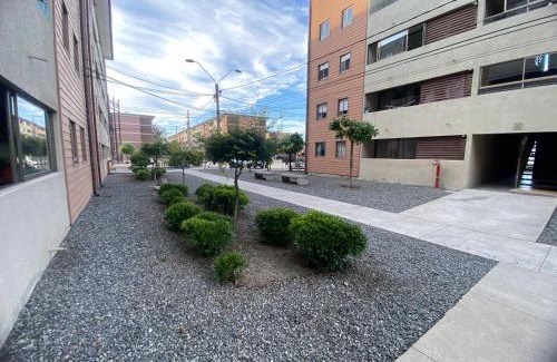 Curico Apartamento | Apartamento centrico