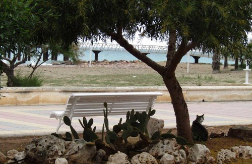 Chilches Apartamento | Apartamento Cerezo Beach