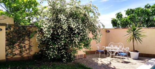Cajar Apartamento | Apartamento con jacuzzi y jardín