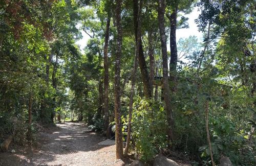 Monteverde Apartamento | Apartamento Luna