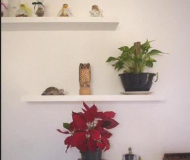 Vargem do Bom Jesus Apartamento | Apartamento de Praia