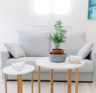 Valle de Abdalagis Apartamento | Apartamento El EnTorno