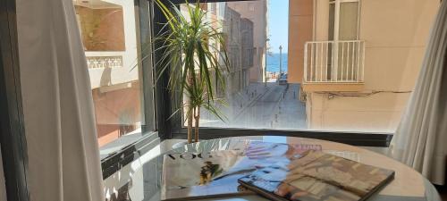 Almeria Apartamento | Apartamento El Zapillo III