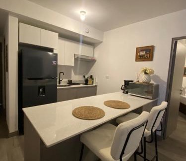 Barrio Escalante Apartamento | Apartamento en Barrio Escalante