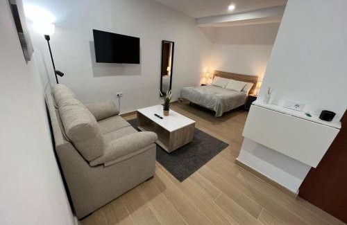 Centro histórico de Jerez de la Frontera Apartamento | Apartamento Porvenir