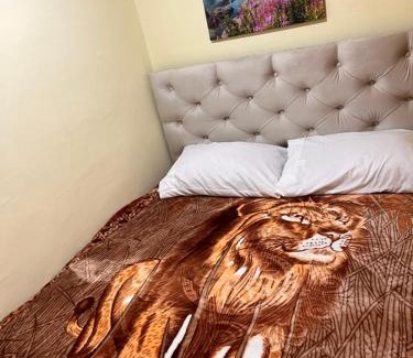 Calama Apartamento | Apartamento Luciana