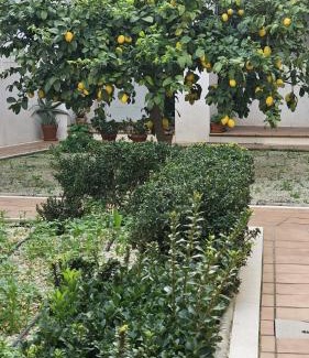Santiago Apartamento | Apartamento Menina San Pedro