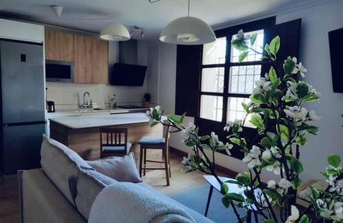 Pastrana Apartamento | Apartamento Palacio de los Burgo
