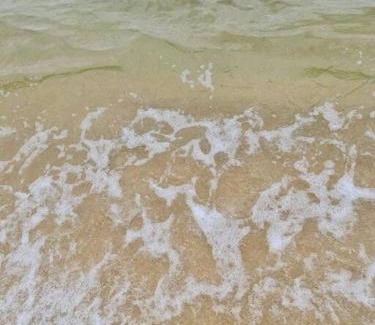 Vila Velha Apartamento | Apartamento pena areia praia paradisíacas