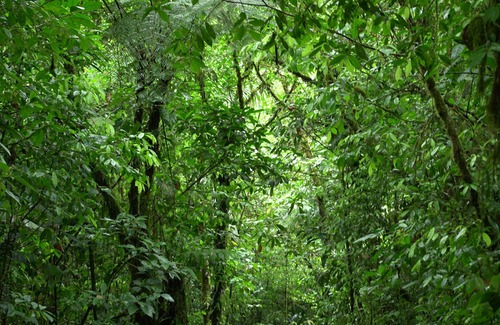 Bijagua Apartamento | Apartamento Rio Celeste Dreams