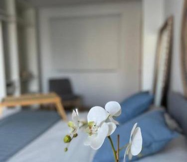 El Guincho Apartamento | Apartamento Sueño del Drago