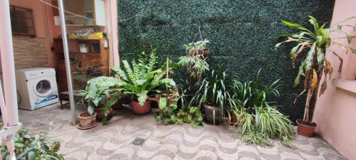 Paysandu Apartamento | Apartamento Susy