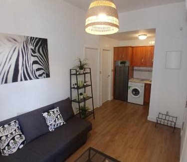 Bailen-Miraflores Apartamento | Apartamento tejares