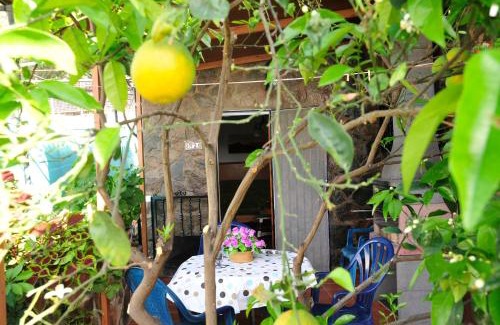 La Aldea de San Nicolas Apartamento | Apartamentos Buen Leon