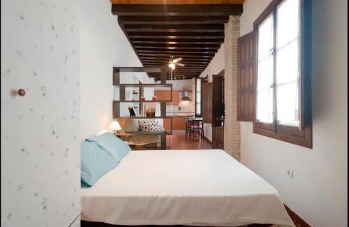 San Pedro Apartamento | Apartamentos centro historico