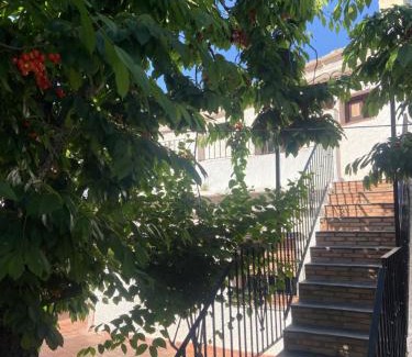 Capileira Apartamento | Apartamentos CerroNegro