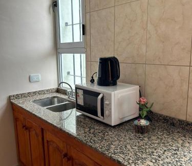 General Alvear Apartamento | Apartamentos El Viñedo 8